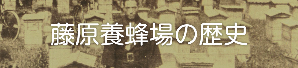 藤原養蜂場の歴史